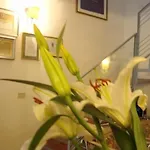 Bed & Breakfast Le Stanze Di Torcicoda 3*