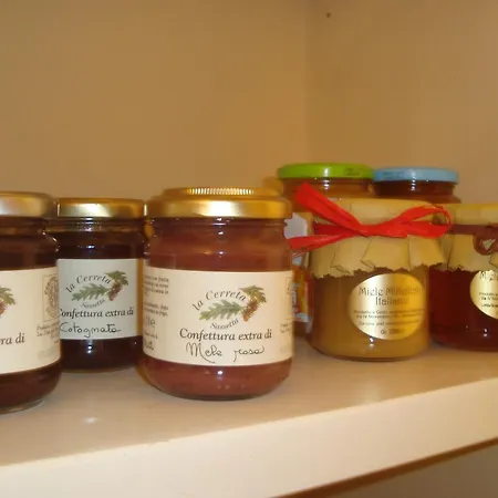 Panzió Le Stanze Di Torcicoda