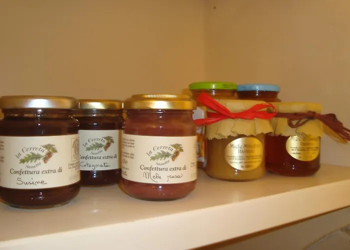 Bed & Breakfast Le Stanze Di Torcicoda