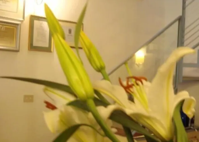 Bed & Breakfast Le Stanze Di Torcicoda 3*