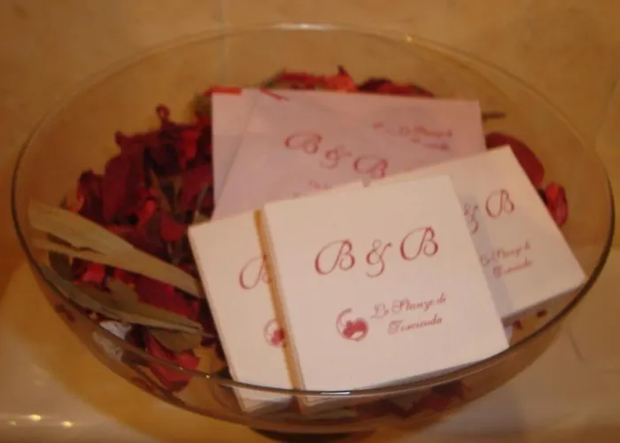 Le Stanze Di Torcicoda